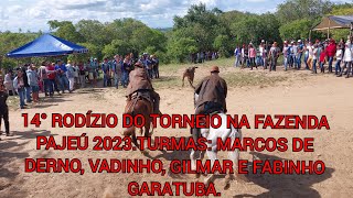 14° Rodízio do 14° torneio de pega de boi no mato na Fazenda Pajeú Porto da Folha Sergipe.