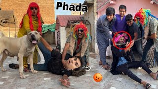 Download Lagu Mini Zoo Mein Phada Ho Gea 😡 Javed Pakra Gya 🥲 MP3