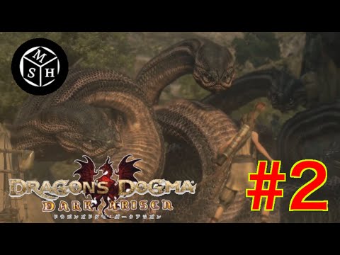 【Switch版ドラゴンズドグマ:ダークアリズン】#2 後から作ったポーンのが可愛くてつらい。【DDDA】【HIRO】