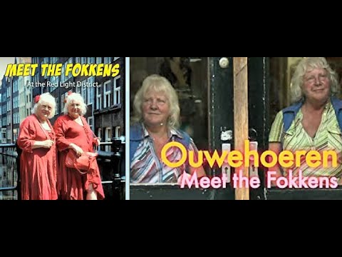 Meet The Fokkens (2011)
