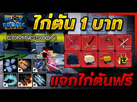 Blox Fruits สอนซื้อไก่ตัน 1 บาท😱 (แจกไก่ตันในคลิป)💯 ได้จริง100%✅ สายฟรี ห้ามพลาด!!✅ Blox Fruits สอนซื้อไก่ตัน 1 บาท😱 (แจกไก่ตันในคลิป)💯 ได้จริง100%✅ สายฟรี ห้ามพลาด!!✅