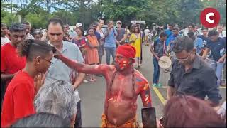 Sainte-Suzanne Le Jako Malbar Déambule Au Bocage