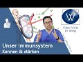 Mein Immunsystem: Wie schützt es mich vor dem Coronavirus? 😷 Das eigene Abwehrsystem verstehen ✅