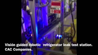 Vision guided automatic robotic leak testing station.