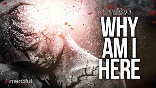 Why Am I Here - The Purpose of Life