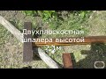 Двухплоскостная шпалера для винограда своими руками. Просто и недорого.