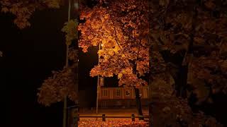 Твори добро (cover) #хит #музыка #музыкадлядуши #песнидлядуши #приятнаямузыка