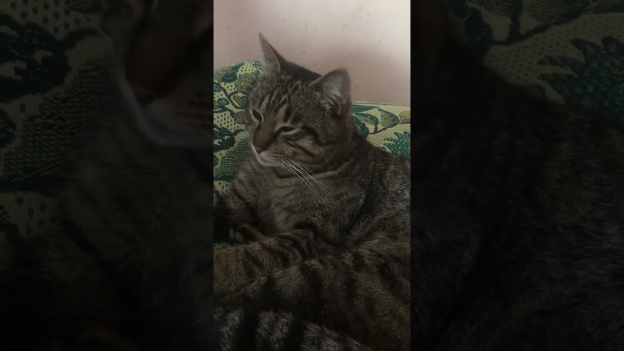 Не платить за коммуналку 