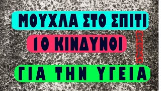 Μούχλα στο σπίτι   10 κίνδυνοι για την υγεία