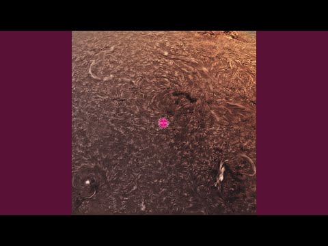 Marcin Cichy — In Time