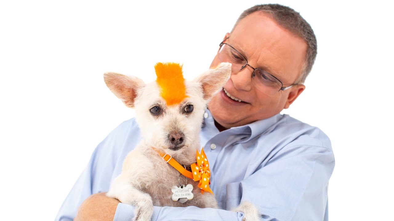 Paying for Dog Cancer Treatment Larry's Story with CareCredit YouTube