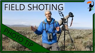 Photography Tip - How to Photograph Birds in the Field