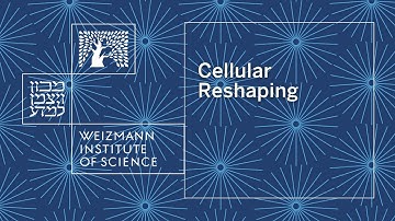 Cellular Reshaping