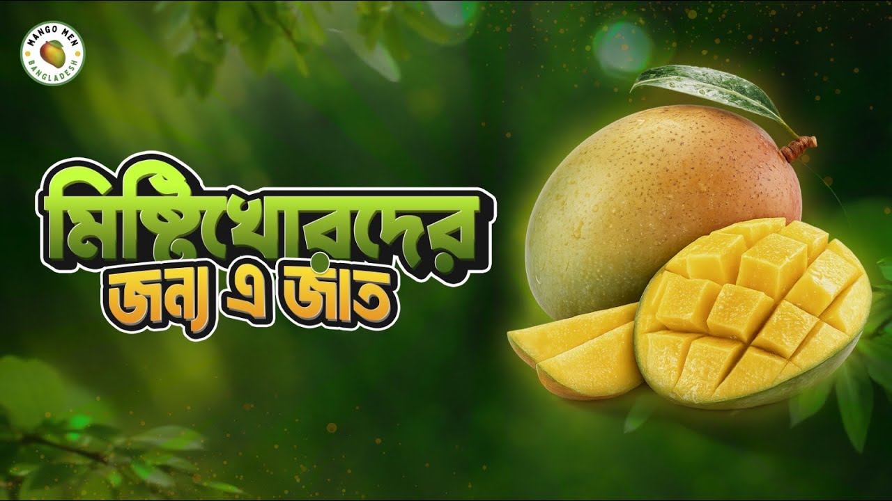 মিষ্টিখোরদের প্রথম পছন্দ | Ultra Sweet High Brix Mango