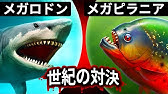 メガロドンが最も噛む力が強い魚と対戦したらどうなる Youtube
