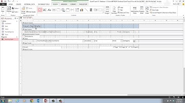 Access D Video 3 Review Report Sections