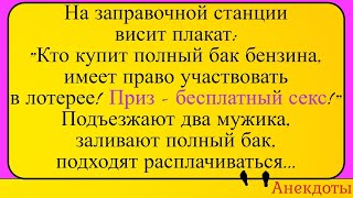 Заправка и лотерея с призом - бесплатный секс... Лучшие длинные анекдоты и жизненные истории 2022