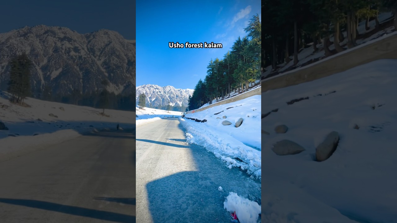 Usho forest latest update must beautiful point 