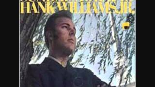 Hank Williams Jr - Wait For The Light To Shine