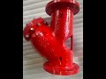 Video Image