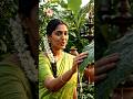 வேர் வரைக்கும் போயிடுச்சாம் 😂🌱#TamilReels #ComedyReels #TamilComedy #VillageComedy #TrendingReels