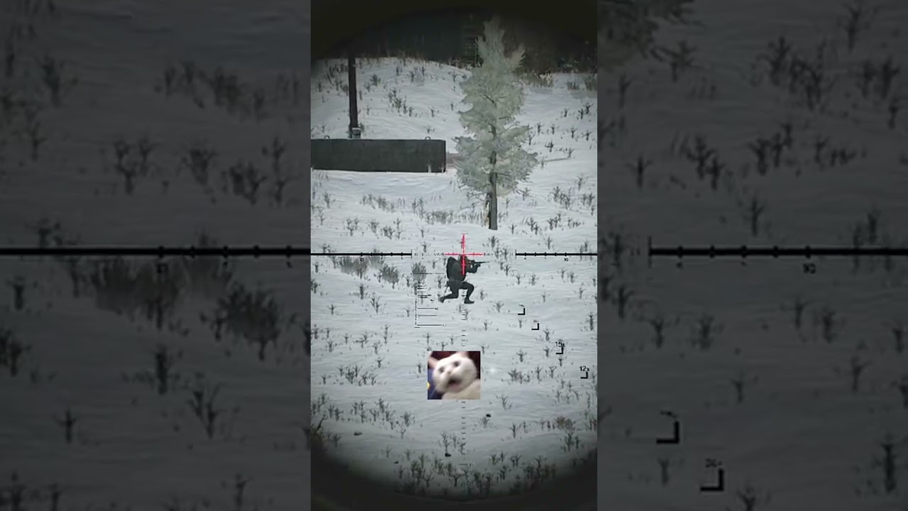 Jelly Arms At The Worst Moment 🙀 