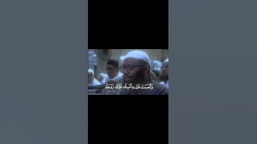 قرٱن كريم// تلاوة ماتعة من سورة الأحزاب #اكسبلور #المصحف #قران_كريم #راحة_نفسية
