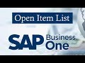 SAP BUSINESS ONE | Sales Report -Open Item List | Use of the Open Item List