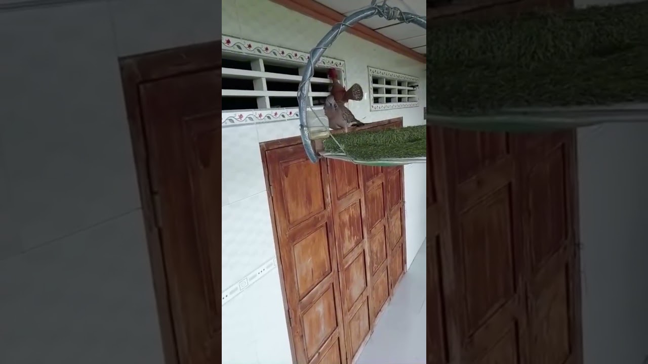 Tâm sự hơi buồn tí cả nhà ôi