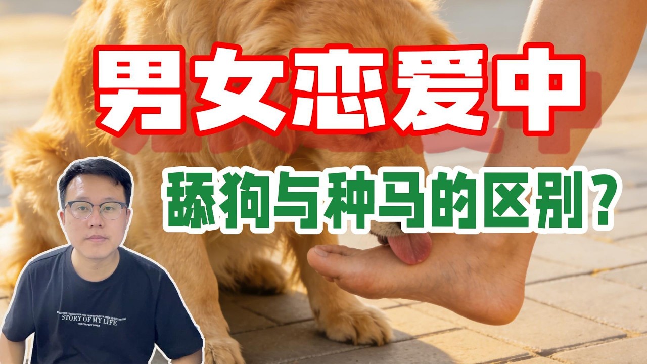 “舔狗”与“种马”：低婚育率背后的社会博弈