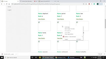 Tag Based Image Search Using Social Re-ranking