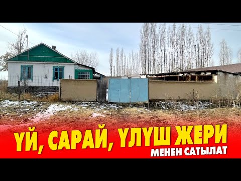 Бейне: Нимфенбург сарайына бару