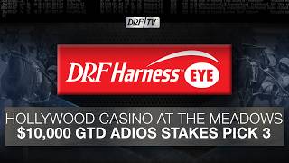 DRF Harness Eye | $10,000 Guaranteed Adios Stakes Pick 3