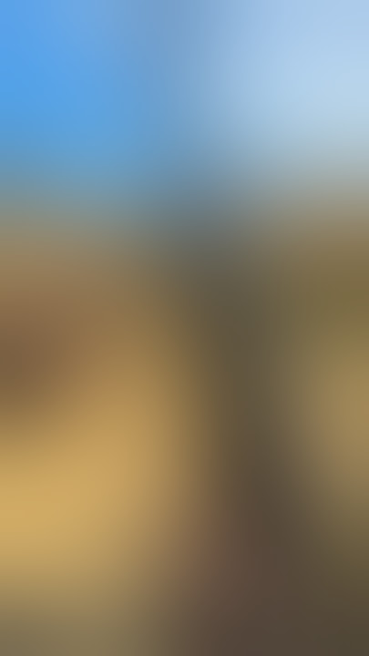 MP-40 ASMR