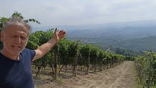 Enzo boglietti, Piemonte: Slow Wine 2024