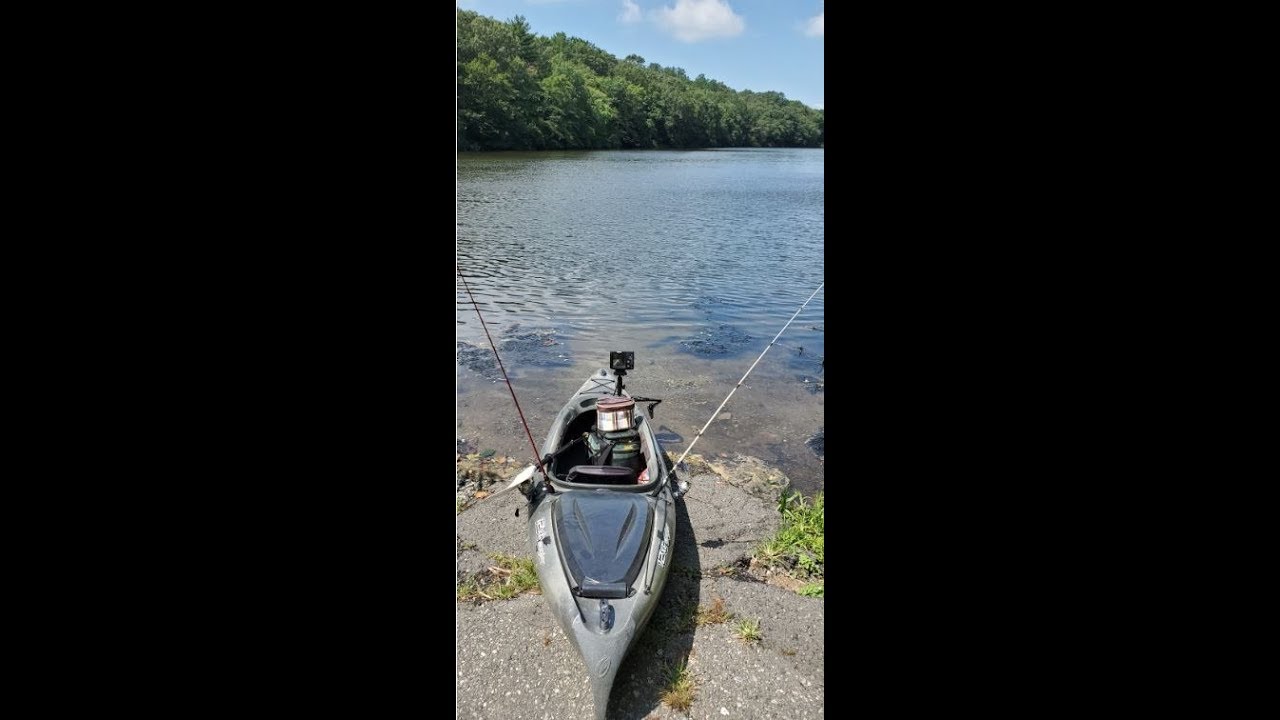 Davis Mill Pond 20190712 - YouTube