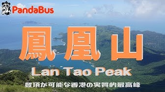 パンダバス香港 Youtube パンダバス香港 Youtube
