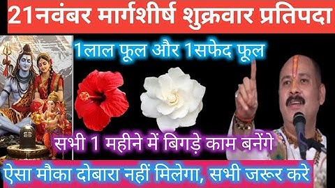 21 नवंबर शुक्रवार प्रतिपदा के दिन 1 लाल फूल 1 सफ़ेद फूल वाला उपाय जरुर करे || Pradeep Ji Mishra 