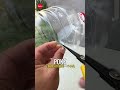 Turn Used Oil Cans into Waterproof Tissue Holders #lifehacks #5minutecrafts #diy