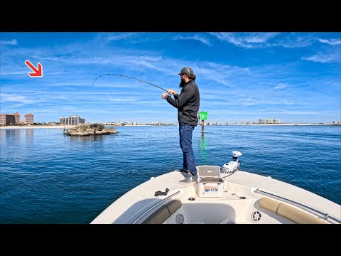 Remote control boat helps catch GIANT fish from the beach! #fishinglife  #redsnapper #saltwaterfishing, Bearded Brad, Bearded Brad · Original  audio