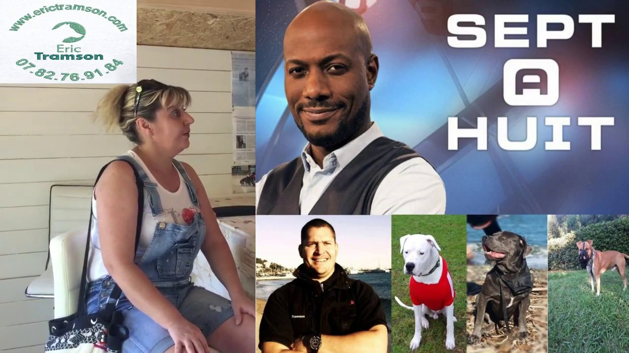 CHIEN DOG ARGENTIN CANE CORSO/ERICTRAMSON/EDUCATEUR CANIN - YouTube