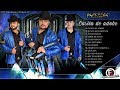 Los Alameños De La Sierra - La Casita De Adobe 2019 (DISCO COMPLETO)