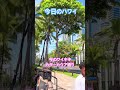 【今日のハワイ】Hawaii Today パレード何終わって元通りのカラーカウア通り#ハワイ