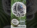Coconut water  🥥 benefits