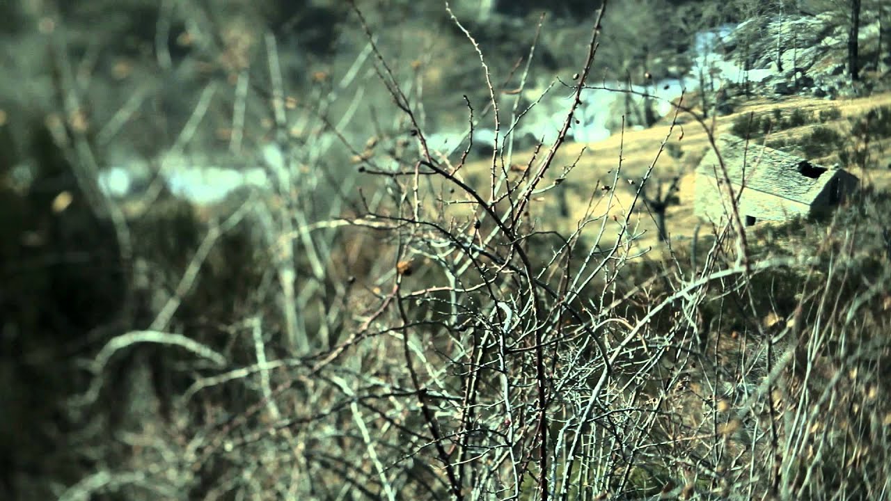 Emily Loizeau - Bande annonce officielle, nouvel album 2012