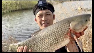 AMAZING FISHING BIG FISH GRASS CARP/MANCING IKAN MAS BABON DI AMERIKA