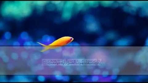 تلاوة رائعة صهيب محمود سورة الأنبياء