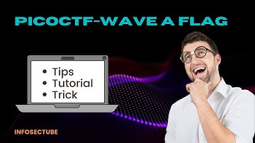 picoCTF-wave a flag -walkthrough