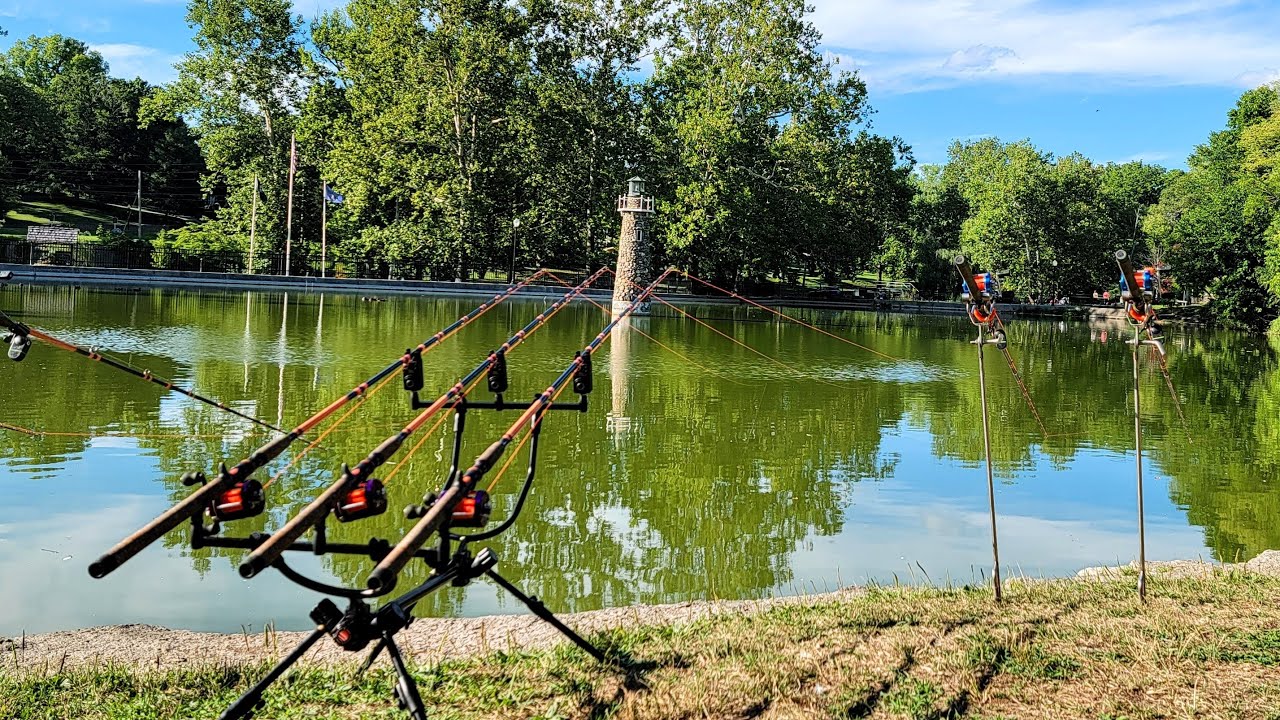 Live Night Fishing For Big Carp At A Light House YouTube