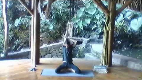 Vinyasa Yoga - Revolved Half Moon